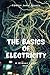 The Basics of Electricity: A Closer Look