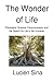 The Wonder of Life: Philosophy, Science, Consciousness, and the Search for Life in the Universe