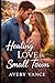 Healing Love in Small Town (Heartwood Falls)