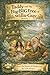 Taddy and the Big-BIG Tree of Willa-Guy: (Book 2 of 4 in the Willa-Guy Series)