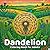 Dandelion Coloring Book: A Collection of Detailed Dandelion Flower Designs Featuring Gardens, Landscapes, and Decorative Patterns for Coloring (Flowers Coloring Book)