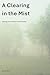 A Clearing in the Mist: Sensing clarity before understanding