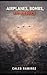 Airplanes, Bombs, and Silence (The Last stand)