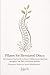 Pilates for Herniated Discs: Safe Exercises You Can Do at Home to Relieve Lower Back Pain, Strengthen Your Back, and Restore Mobility (Therapeutic Method for Spinal Rehabilitation) (Método Juju)