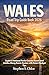 Wales Road Trip Guide Book 2026 by Stephen S. Chloe