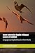 Dutch Indonesian English Trilingual Lesson of Ambition: Language Learning Book Based on Movie Mantis