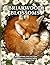 Briarwood Blossoms: A Springtime Collection of Garden Flowers, Bees, and Woodland Life (Woodland Whispers: Cosy Colouring Books)