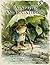Rainbows and Raindrops: Ein frühlingshaftes Malbuch mit Regen, Pfützen und Waldtieren (Woodland Whispers: Gemütliche Malbücher für Erwachsene) (German Edition)