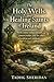 The Holy Wells and Healing ...