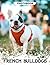 French Bulldogs Photo Book: Small Bully Breed Images Featuring Wrinkled Faces And Playful Companion Moments In Pet Photography