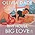 Tiny House, Big Love by Olivia Dade