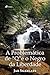 A Problemática de "Q" e o Negro Da Liberdade (Portuguese Edition)