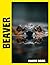 Beaver Photo Book: Quiet River Dwellers Captured In Peaceful Photography With Busy Dam Building And Natural Waterway Adventures