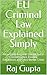 EU Criminal Law Explained S...