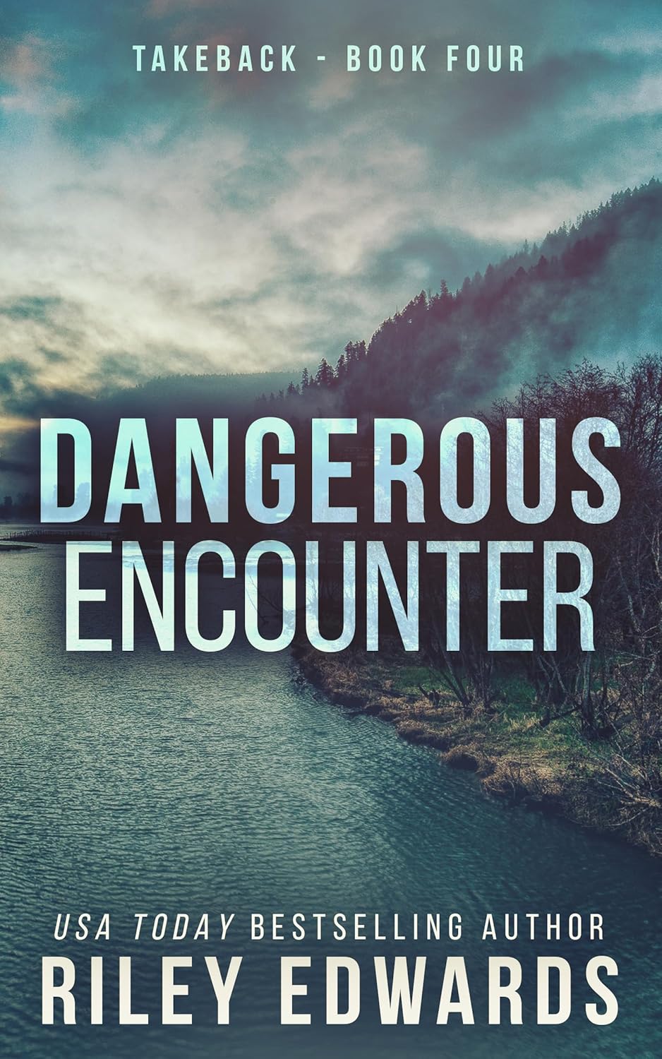 Dangerous Encounter (Takeback, #4)