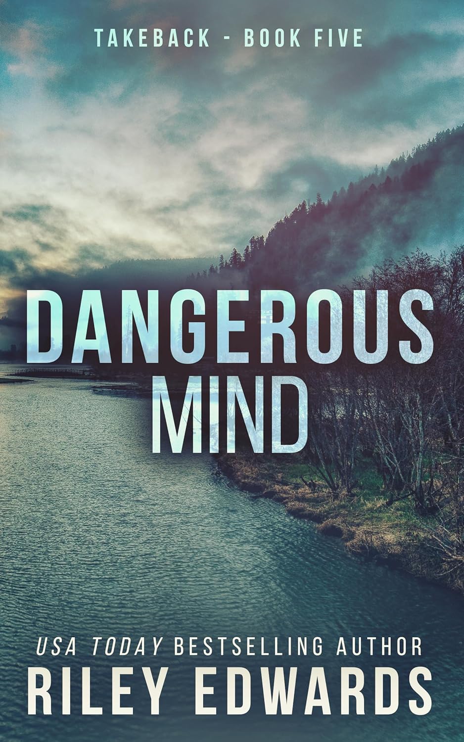 Dangerous Mind (Takeback, #5)