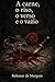 A Carne, o Riso, o Verso e o Vazio (Portuguese Edition)