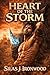 Heart of the Storm: An MLM Warrior Fantasy Romance (Obsidian & Bone Book 1)