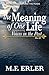 The Meaning of One Life: Vo...