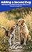Adding a Second Dog: What Really Matters About Introductions, Daily Life, and Resource Management (WoofGuide)