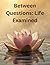 Between Questions: Life Examined