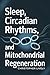 Sleep, Circadian Rhythms, and Mitochondrial Regeneration: Boost Your Mitochondrial Health and Numbers with Smart Strategy