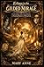 Echoes in the Gilded Mirage: A labyrinthine tale of lost identity and haunting illusions in a shifting estate