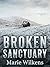 Broken Sanctuary: An EMP Po...