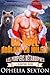 Un Noël brûlant en juillet: Une romance paranormale avec ours métamorphe australien, compagne destinée ronde et douce, et passion impossible à éteindre. ... de Bearpaw Ridge t. 10) (French Edition)