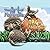 The Art of Mammals: ABC's f...