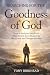Searching for the Goodness of God by Tony Birkhead