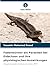 Fadenwürmer als Parasiten bei Eidechsen und ihre physiologischen Auswirkungen (German Edition)