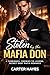 Stolen by the Mafia Don: A Forbidden, Enemies to Lovers, Secret Baby Mafia Romance