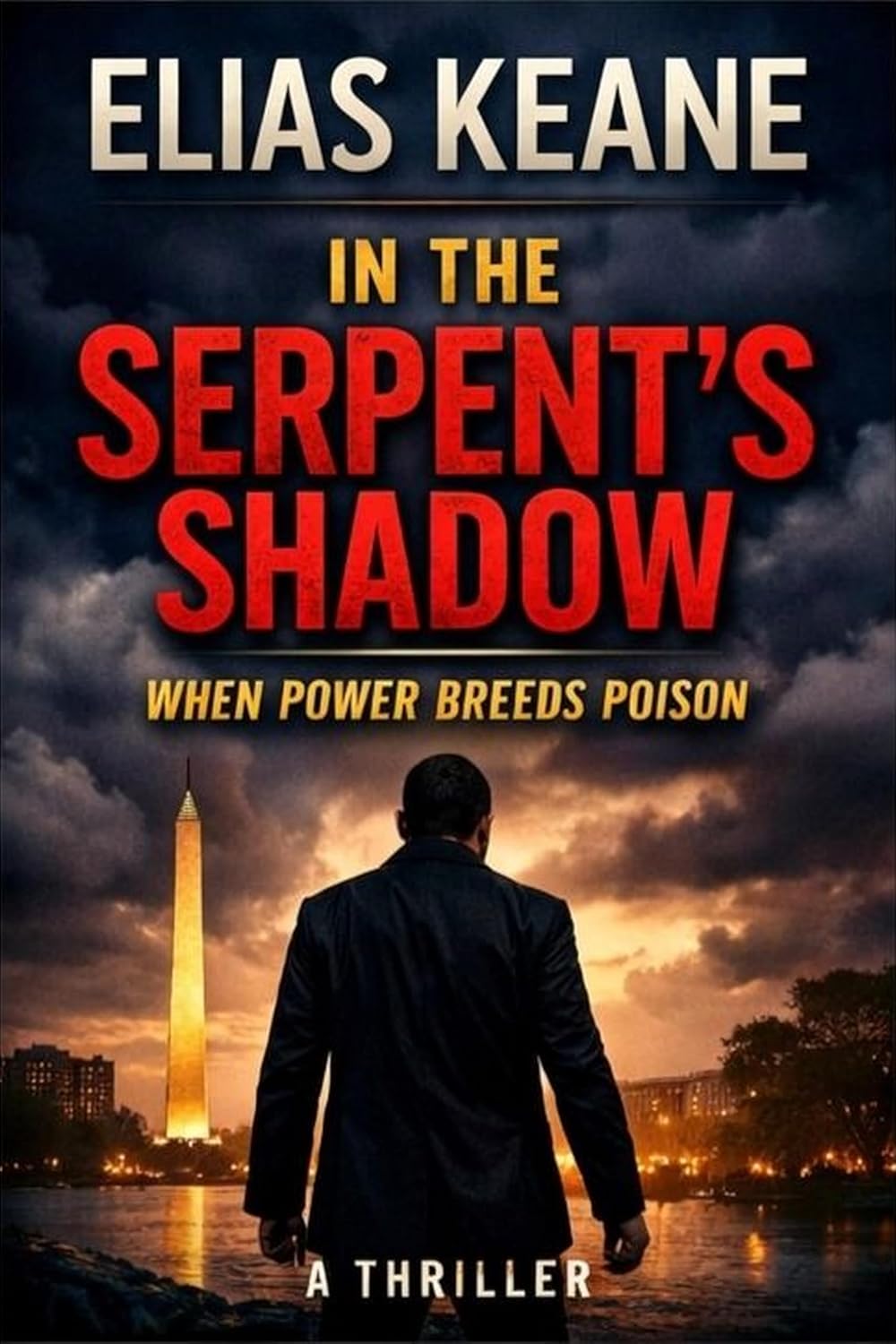 In the Serpent's Shadow: Where Power Breeds Poison (The Rourke Correlation Book 1)