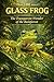 The Glass Frog The Transparent Wonder of the Rainforest