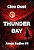 THUNDER BAY: Amos Sadler #1 (Amos Sadler Mysteries) (German Edition)