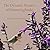 The Dynamic Return of Hummingbirds: Finding Nectar in Familiar Locations (Dynamic Hummingbirds)