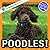 Poodles!: A My Incredible World Picture Book for Children (My Incredible World: Nature and Animal Picture Books for Children)