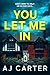 You Let Me In (Standalone Psychological Thrillers)