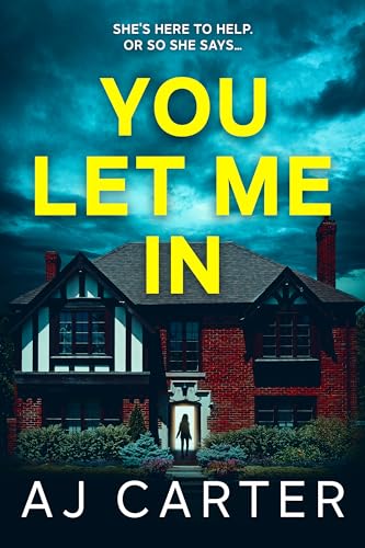You Let Me In (Standalone Psychological Thrillers)