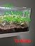 The Science of Terrariums (The Science of Everything)