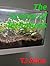 The Science of Terrariums (The Science of Everything)