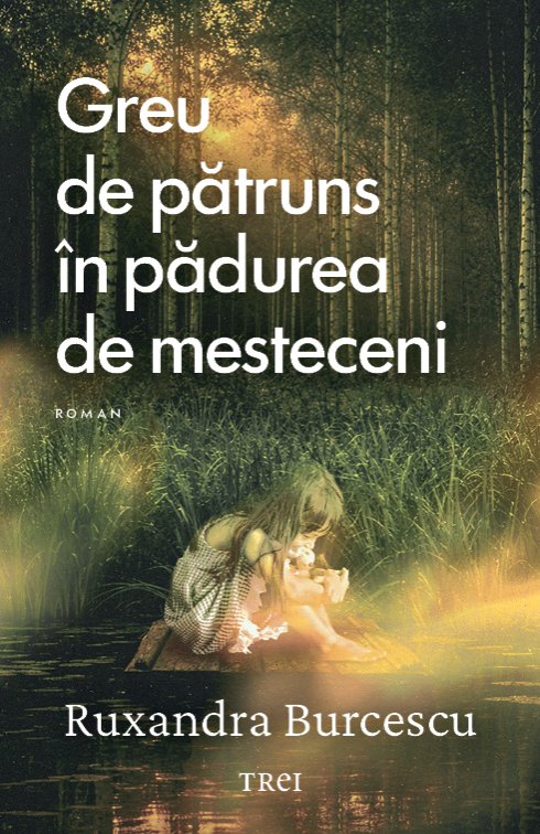 Greu de pătruns în pădurea de mesteceni
