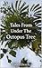 Tales From Under The Octopus Tree