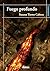 Fuego profundo (Spanish Edition)
