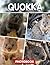 Quokka Photo Book: Picture Collection For Adults With Dementia And Alzheimer’s Patients – Cute Quokka Images In Happy And Playful Australian Wildlife Settings