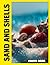 Sand and Shells Photo Book: Coastal Treasures Captured In Stunning Photography With Sunlit Beach Views And Beautiful Ocean Finds