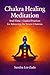 Chakra Healing: Soul Time – Guided Practices for Balancing the Seven Chakras