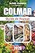 GUIDE DE VOYAGE COLMAR 2026: Faro : Un voyage à travers la riche histoire du sud du Portugal, sa beauté côtière époustouflante et son charme paisible de la vieille ville (French Edition)