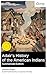 Adair's History of the American Indians (Summarized Edition): Enriched edition. A British Trader's Ethnography of Southeastern Tribes: Firsthand ... Indigenous Societies and Social Traditions